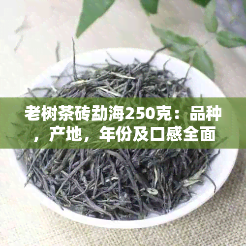 老树茶砖勐海250克：品种，产地，年份及口感全面解析