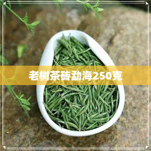 老树茶砖勐海250克