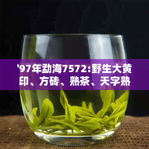 '97年勐海7572:野生大黄印、方砖、熟茶、天字熟茶，茶厂价格一览'