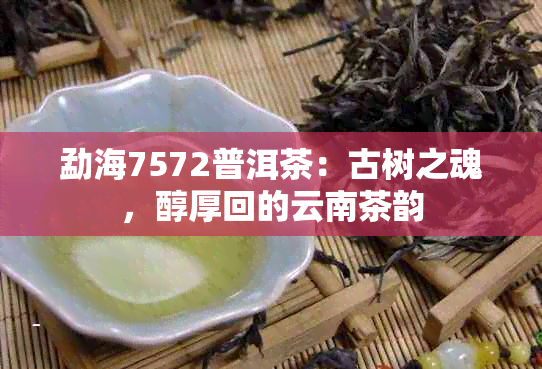 勐海7572普洱茶：古树之魂，醇厚回的云南茶韵