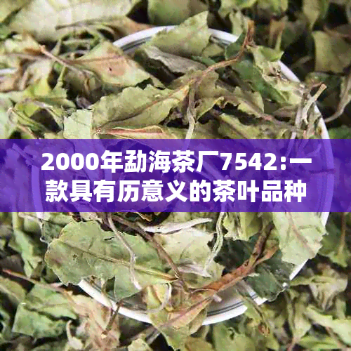 2000年勐海茶厂7542:一款具有历意义的茶叶品种及其制作工艺详解