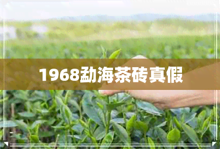 1968勐海茶砖真假