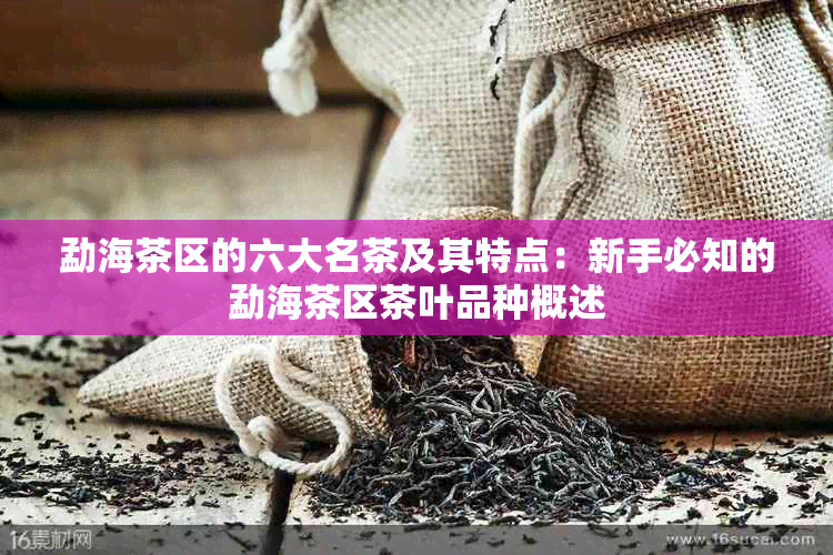 勐海茶区的六大名茶及其特点：新手必知的勐海茶区茶叶品种概述