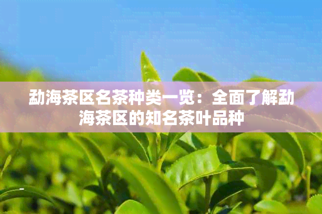 勐海茶区名茶种类一览：全面了解勐海茶区的知名茶叶品种