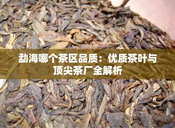 勐海哪个茶区品质：优质茶叶与顶尖茶厂全解析