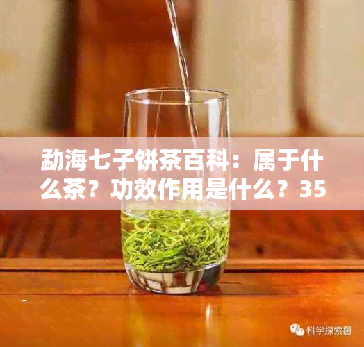 勐海七子饼茶百科：属于什么茶？功效作用是什么？357克价格是多少？