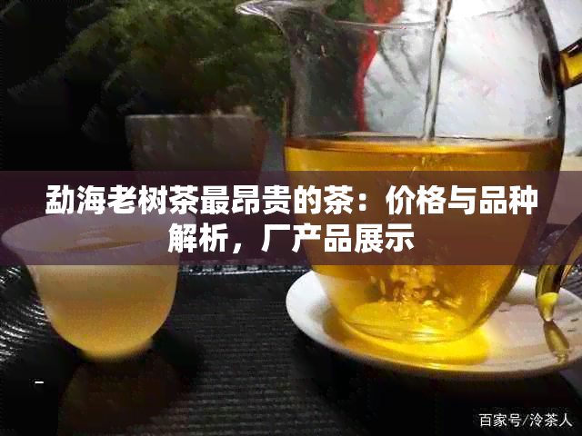 勐海老树茶最昂贵的茶：价格与品种解析，厂产品展示