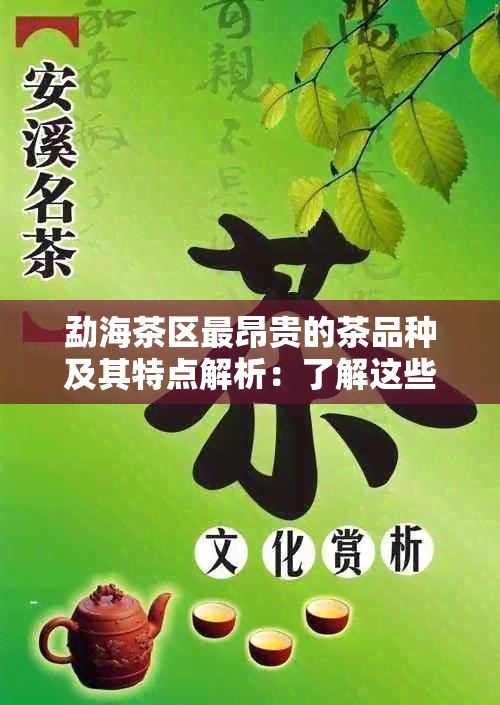 勐海茶区最昂贵的茶品种及其特点解析：了解这些让你成为茶叶专家