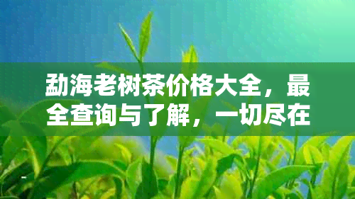 勐海老树茶价格大全，最全查询与了解，一切尽在这里！