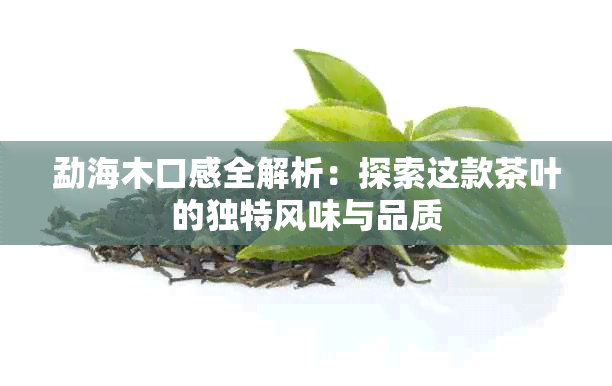 勐海木口感全解析：探索这款茶叶的独特风味与品质