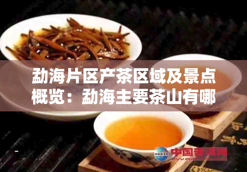 勐海片区产茶区域及景点概览：勐海主要茶山有哪些？