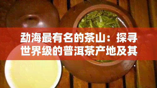 勐海最有名的茶山：探寻世界级的普洱茶产地及其历与文化