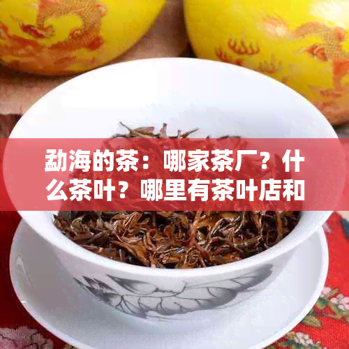 勐海的茶：哪家茶厂？什么茶叶？哪里有茶叶店和茶馆？