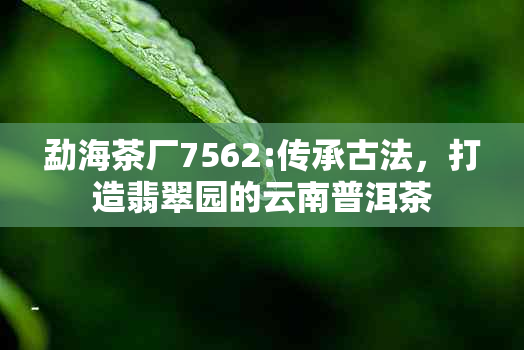 勐海茶厂7562:传承古法，打造翡翠园的云南普洱茶