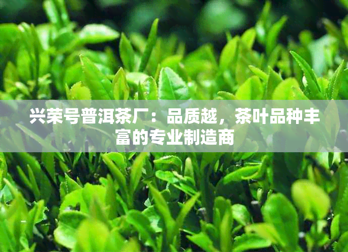 兴荣号普洱茶厂：品质越，茶叶品种丰富的专业制造商