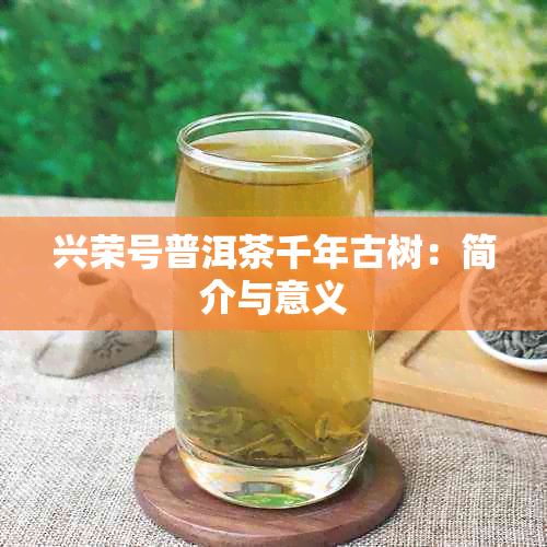 兴荣号普洱茶千年古树：简介与意义