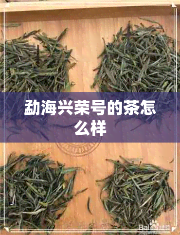 勐海兴荣号的茶怎么样