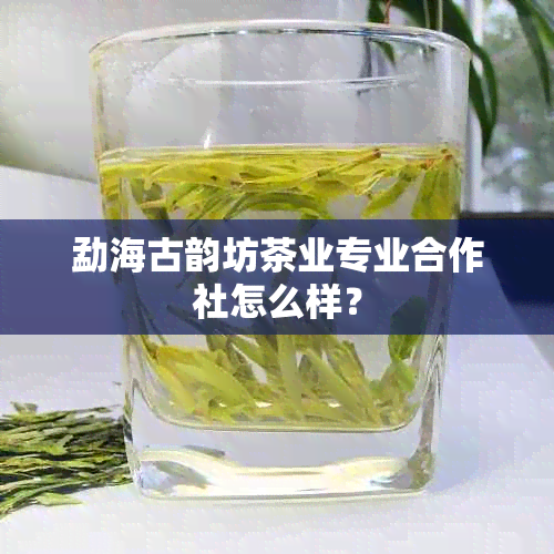 勐海古韵坊茶业专业合作社怎么样？