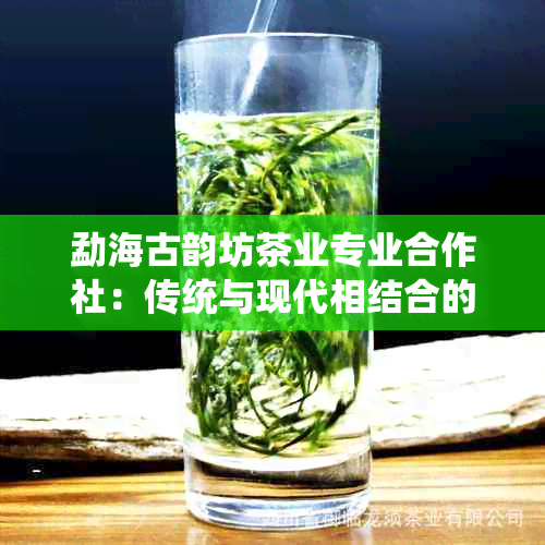 勐海古韵坊茶业专业合作社：传统与现代相结合的茶叶创新之路