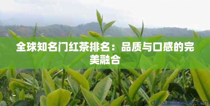 全球知名门红茶排名：品质与口感的完美融合