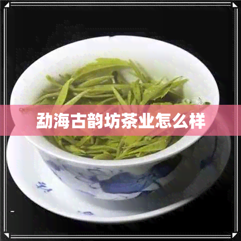 勐海古韵坊茶业怎么样