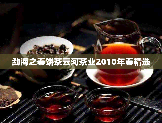 勐海之春饼茶云河茶业2010年春精选