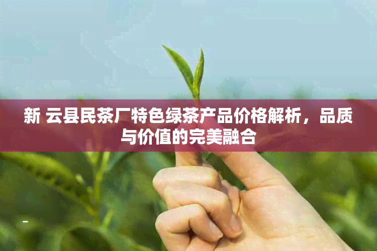 新 云县民茶厂特色绿茶产品价格解析，品质与价值的完美融合