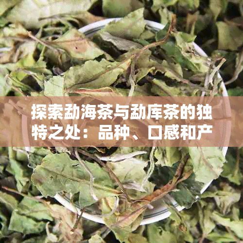 探索勐海茶与勐库茶的独特之处：品种、口感和产地的深度对比