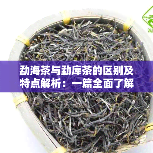 勐海茶与勐库茶的区别及特点解析：一篇全面了解两种茶叶的文章