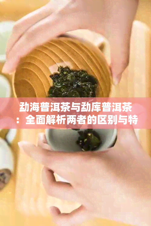 勐海普洱茶与勐库普洱茶：全面解析两者的区别与特点