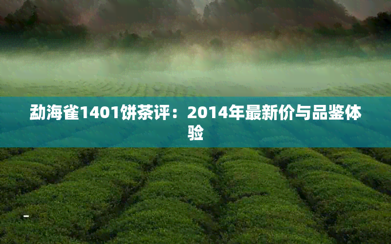 勐海雀1401饼茶评：2014年最新价与品鉴体验