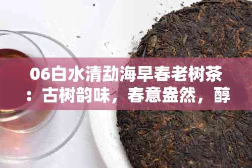 06白水清勐海早春老树茶：古树韵味，春意盎然，醇厚口感