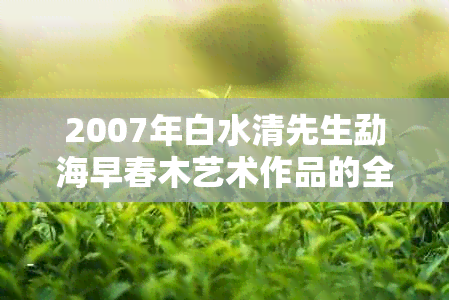 2007年白水清先生勐海早春木艺术作品的全面解析与欣