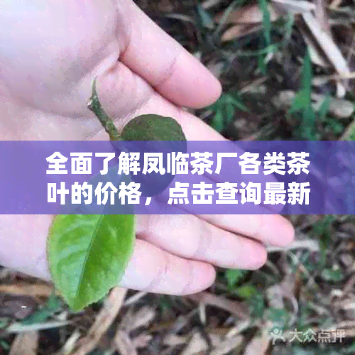 全面了解凤临茶厂各类茶叶的价格，点击查询最新报价！