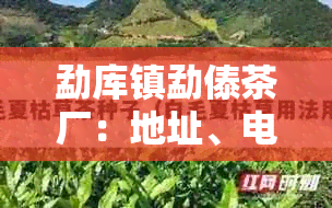 勐库镇勐傣茶厂：地址、电话及简介，品尝高品质茶品！