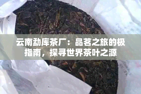 云南勐库茶厂：品茗之旅的极指南，探寻世界茶叶之源