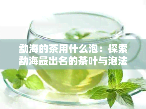 勐海的茶用什么泡：探索勐海最出名的茶叶与泡法