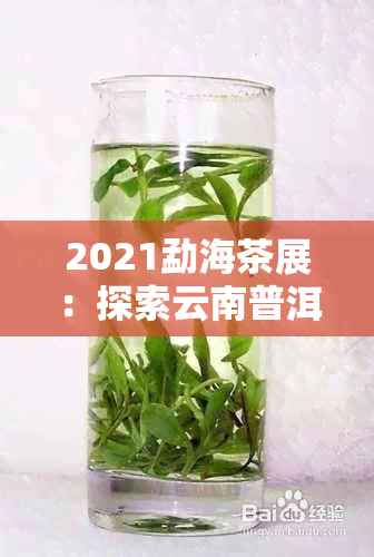 2021勐海茶展：探索云南普洱茶的魅力与创新