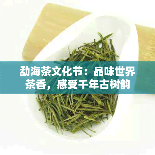 勐海茶文化节：品味世界茶香，感受千年古树韵