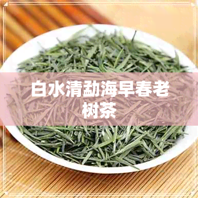 白水清勐海早春老树茶