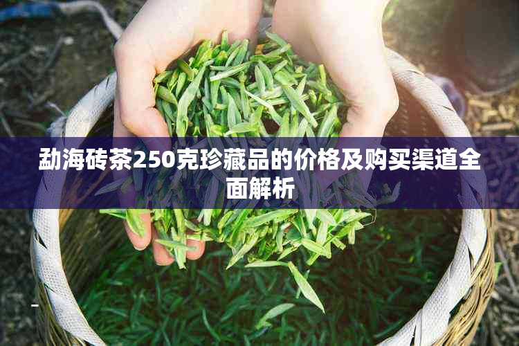 勐海砖茶250克珍藏品的价格及购买渠道全面解析