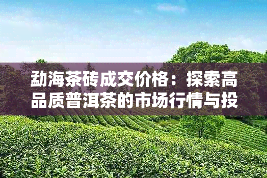 勐海茶砖成交价格：探索高品质普洱茶的市场行情与投资潜力