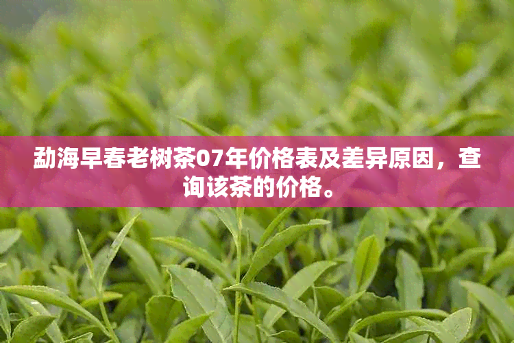 勐海早春老树茶07年价格表及差异原因，查询该茶的价格。