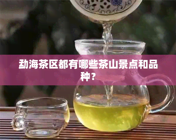 勐海茶区都有哪些茶山景点和品种？