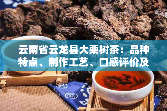 云南省云龙县大栗树茶：品种特点、制作工艺、口感评价及购买渠道全面解析