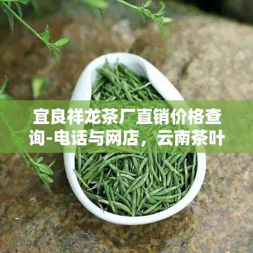 宜良祥龙茶厂直销价格查询-电话与网店，云南茶叶品质如何？