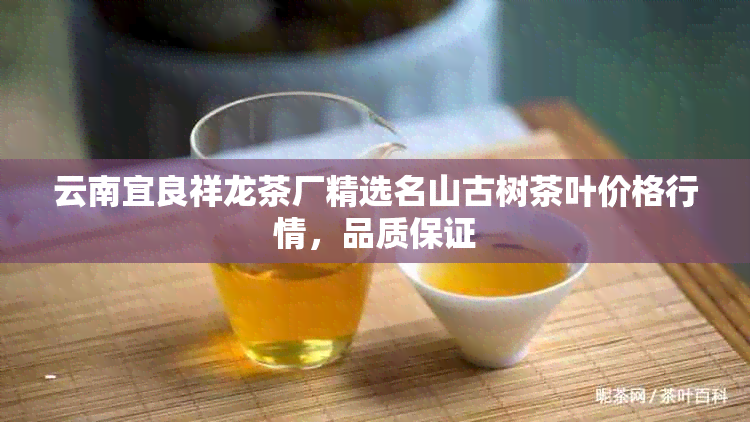 云南宜良祥龙茶厂精选名山古树茶叶价格行情，品质保证