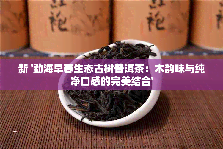 新 '勐海早春生态古树普洱茶：木韵味与纯净口感的完美结合'