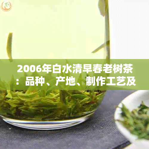 2006年白水清早春老树茶：品种、产地、制作工艺及口感全面解析