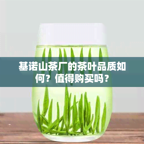 基诺山茶厂的茶叶品质如何？值得购买吗？